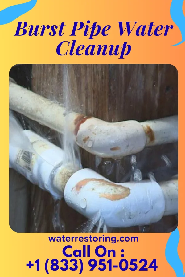 Burst Pipe Water Cleanup in Stanhope, NJ