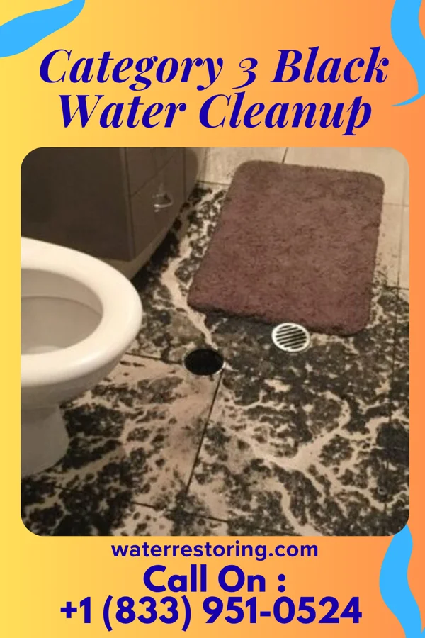 Category 3 Black Water Cleanup in Stanhope, NJ